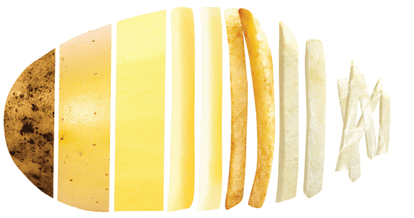 Potato Graphic