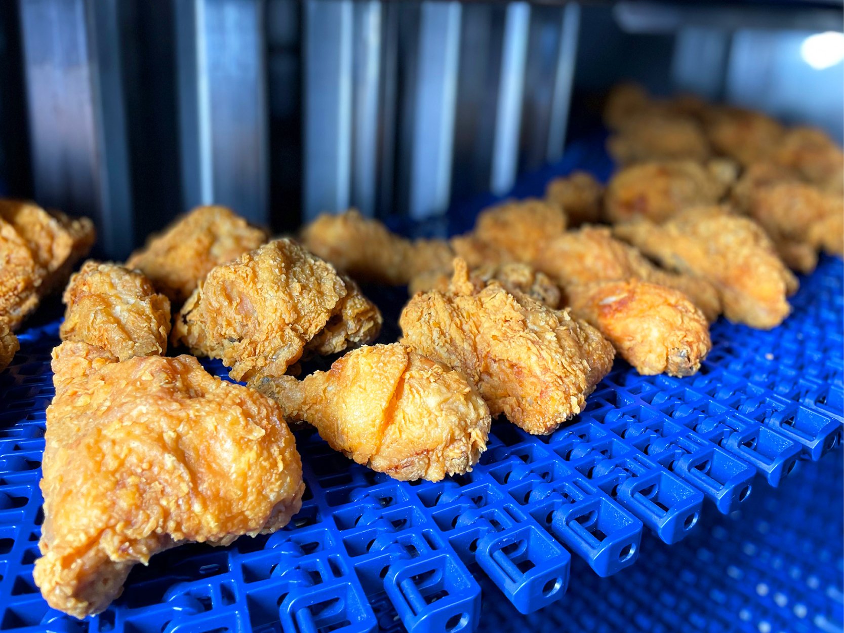 FPS - IPPE Landing Page - Picture RESIZED-04