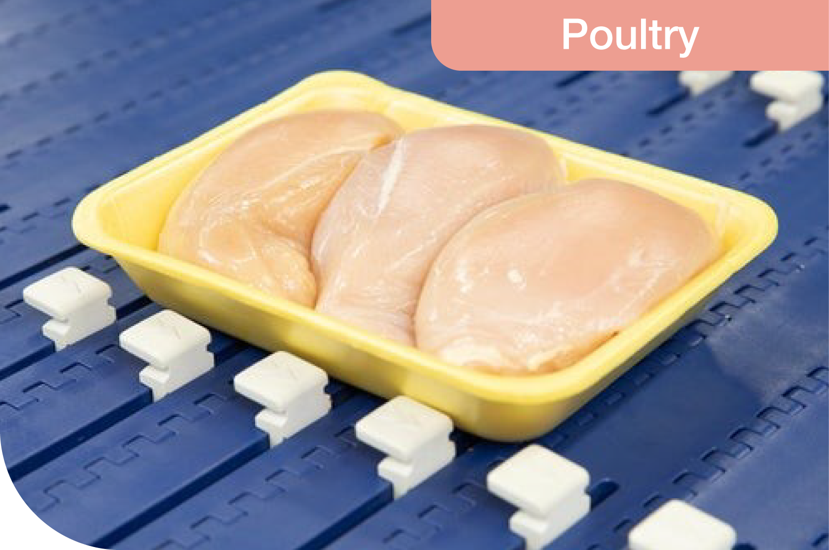 FPS - InterFoodTech 2025 - Landing Page-02-3